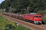 5388レ　EF8182　牛久～佐貫（撮影当時）　2010.11.03