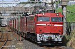 EF8185　東浦和～東川口　2010.08.07