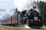 9929レ　C57180+旧客　平木田～坂町　2014.03.22