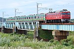 900-EF81-220922V2.jpg