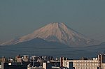 91_fuji