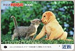 /siropiro-ver3.com/wp-content/uploads/2022/11/SKC犬と猫1.jpg