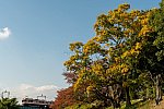 221109minogawa-1.jpg