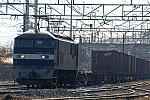 20131201_DSC_7928.jpg