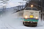 3361M　485系T-15　北条～越後広田　2013.02.23