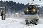 80レ　EF81503　越後広田～北条　2013.02.23