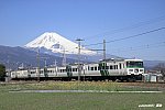 4025M　185系C3　三島二日町～大場　2020.03.06