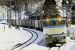 4060レ　EF81455　越後岩塚～塚山　2011.02.19