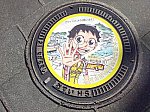 358_manhole