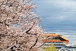 東武鉄道100系｢日光詣スペーシア｣ 202303