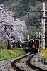/stat.ameba.jp/user_images/20230402/08/masaki-railwaypictures/06/48/j/o1155173115264023318.jpg