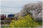 ld 23 3 31 d1 h urawa ef210 115 75 a1001