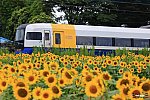 JR東日本255系電車