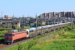 900-EF81-230728A1.jpg