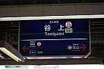 /ltd-exp-panda-gomashio.com/wp-content/uploads/2023/07/tanigami-1.jpg