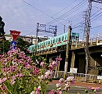 西鉄電車、九州新幹線、コスモス