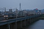 EF210-137+貨物20231105茅ヶ崎-平塚