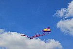 Kite-flying：大空へ高らかに舞う凧