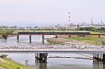 5-13・b-DSC_9255・にちりん７号・高城～鶴崎・