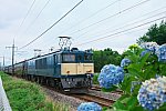 ef641053-180704-試9759