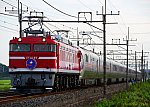 9011レ　EF8195＋E26系【カシオペア】　2018/08/10 17:11　東北本線東鷲宮－栗橋