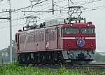 単9522レ　EF8180　2024/07/16 16:32　東北本線栗橋－東鷲宮（後追い）