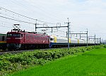 配9141レ　EF81141＋255系Be-01編成　2024/07/17 13:31　東北本線東鷲宮－栗橋間