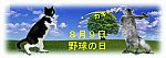 野球の日フリー素材