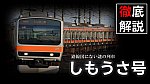 /freedomtrain.jp/wp-content/uploads/2024/08/60936b1d11bdc86b2791d9ddd8f820e7-1024x576.jpg