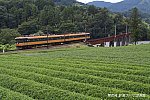 ★大井川鉄道　崎平(2)