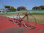 cycling4-230.jpg