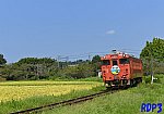 _20240908_104051-581A-kiha403のコピー