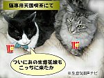 ウーシーマンとチー公王子