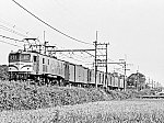 EF58　19840927　荷1036・EF58168宇　蓮田-東大宮