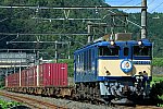 900-EF64-240914L1.jpg