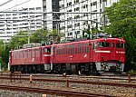 配9724レ　EF81134＋ED75767　2024/09/21 10:57　東北貨物線浦和－赤羽