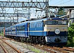 9731レ　EF65501＋12系＋DD51842【ELぐんま7fin】　2024/09/23 10:06　上越線新前橋