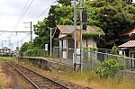 240516-116x.jpg