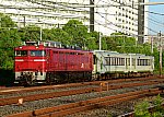 配8730レ　EF81141＋キハ112-205＋キハ111-205　2024/10/02 6:38　東北貨物線浦和－赤羽