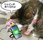 ＬＩＮＥ猫漫画