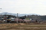 IMG_2664_1