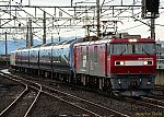 9172レ　EH500-80＋伊豆急2100系＋マニ50‐2186　2024/10/09 16:39　東北本線古河