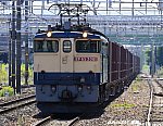 5087レ　EF652081　笠寺～熱田　2024.10.12