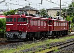 配8146レ　EF81140＋ED75757　2024/10/09 15:36　東北本線蓮田