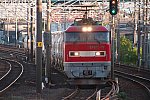 EF510-17+白ホキ20241011清州