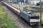 EF64-1036　赤ホキ