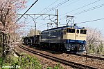 EF651102　早川～根府川　2010.04.10