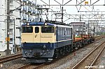 EF651103　南流山　2010.06.24