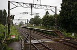 240827-175x.jpg