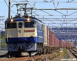 5087レ　EF652087　大垣～南荒尾（信）　2024.11.09